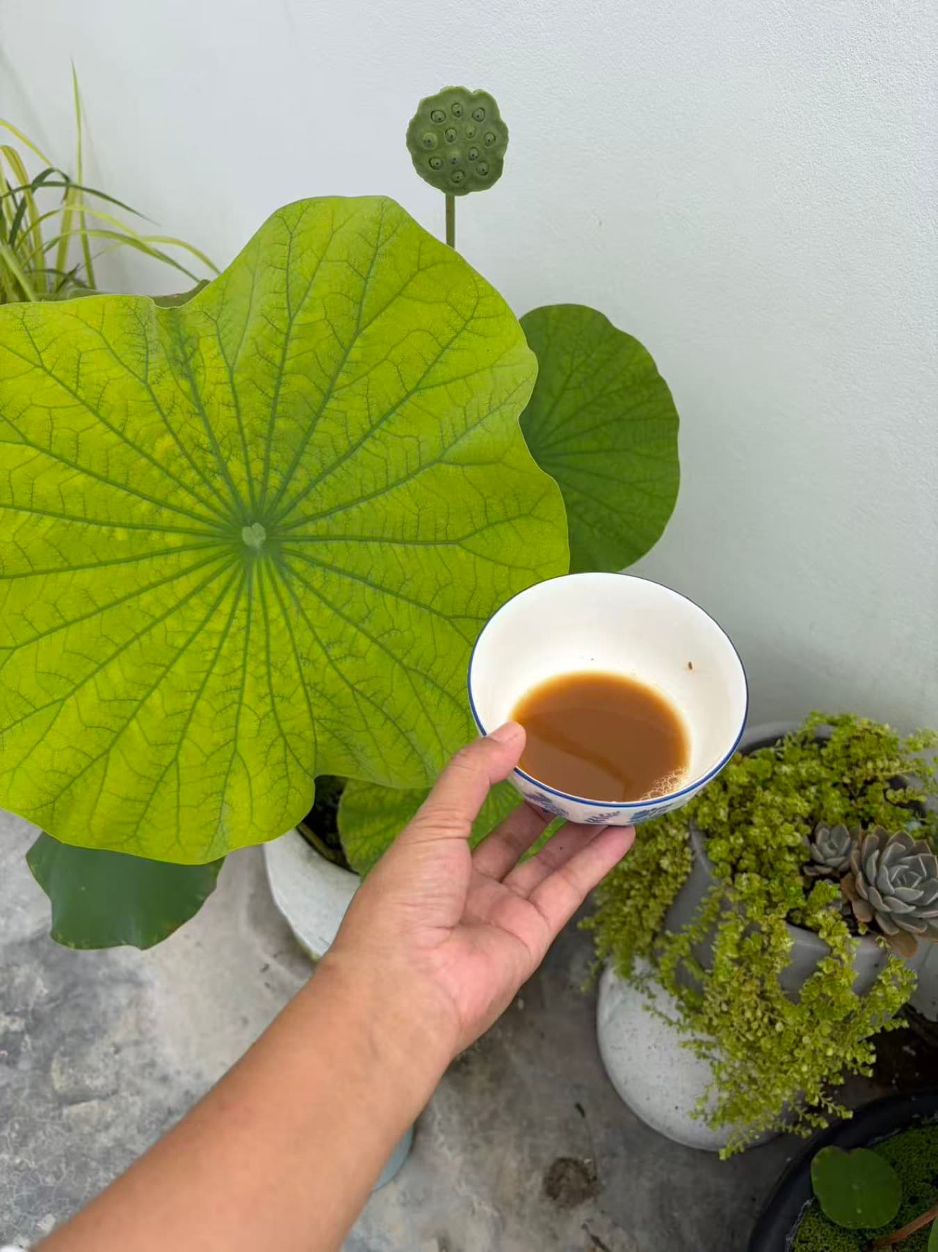 2026 秋日茶事第 21 幅茶友作品
